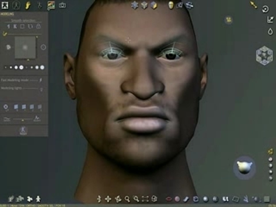 Fast Character Modeling with QUIDAM