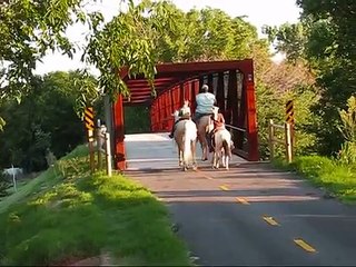 "Pony Girl" 8 yr old paint pony mare for sale!