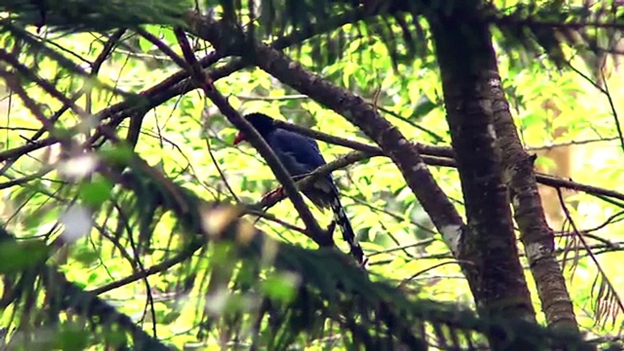 2014生態電影節有影秀台灣 - 蝸牛與鈍頭蛇