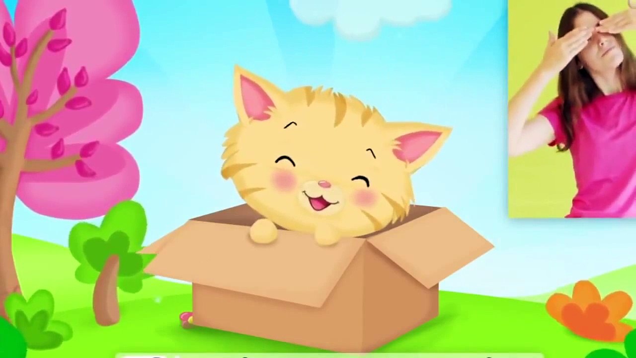 Comptinette du chaton   comptine à gestes