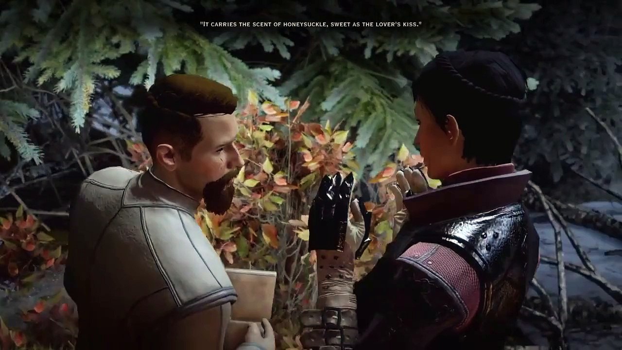 Dragon Age: Origins - All Romances/Sex Scenes - video Dailymotion