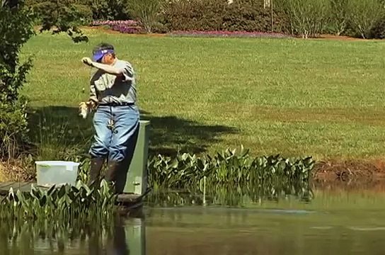 Wade Bourne's Fishing Tips: Beds for Bluegill - MyOutdoorTV.com