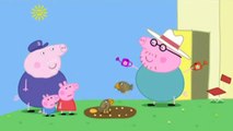 Ghetto Peppa Pig (Peppa Pig Dub/Voice Over/Improv Dub)