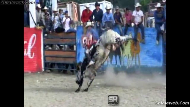 SUPER JARIPEO EXTREMO COMPLETO EN LAGUNA DE SANTO DOMINGO TOROS DE BUENA GANADERIA SON MONTADOS POR LOS JINETES MAS CONOCIDOS CAIDAS AGOSTO 2015