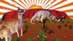 Animal Videos for Children! Animal Names for Kids! Funny Animal Videos for Kids! Australian Animals