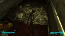 Fallout 3 rock bones