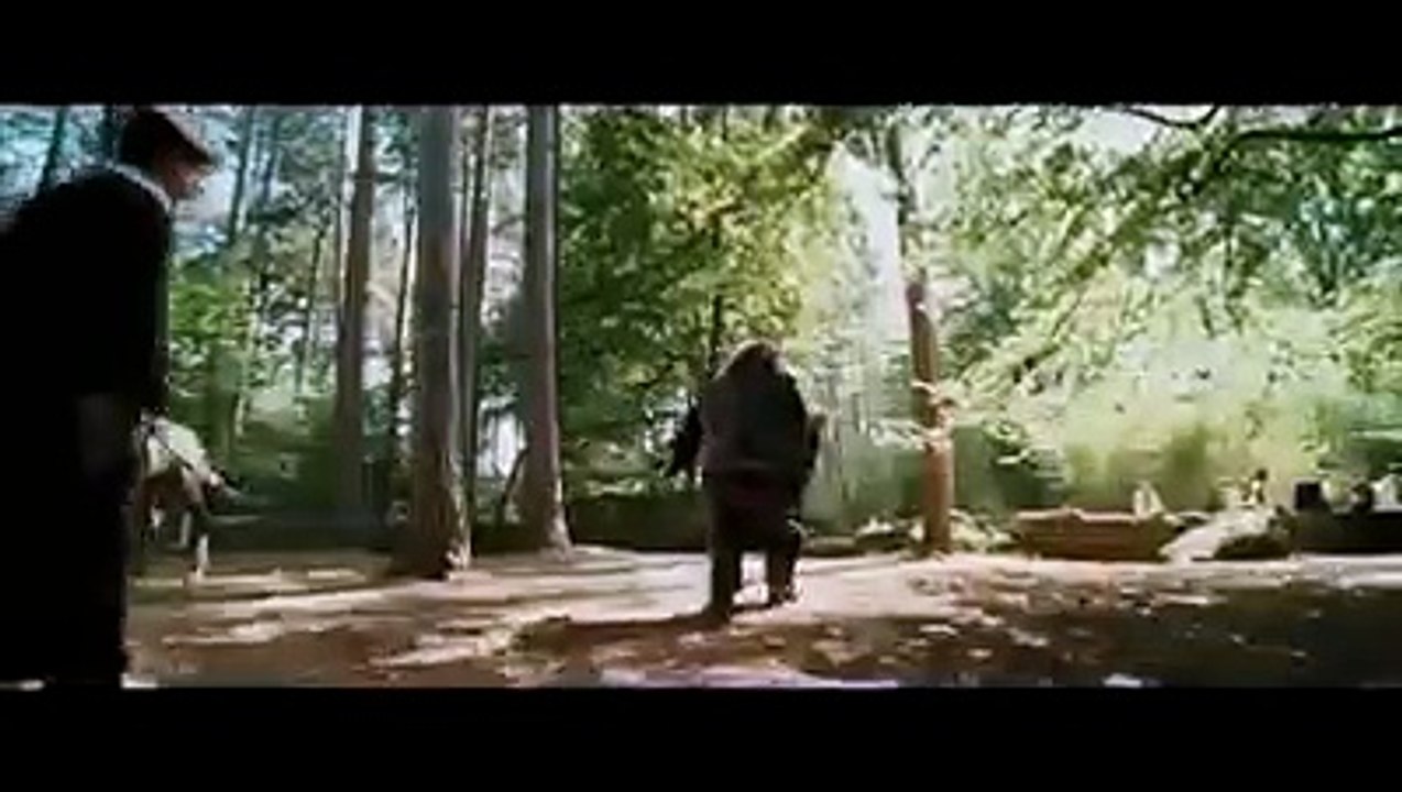 If Harry Potter was the villain
