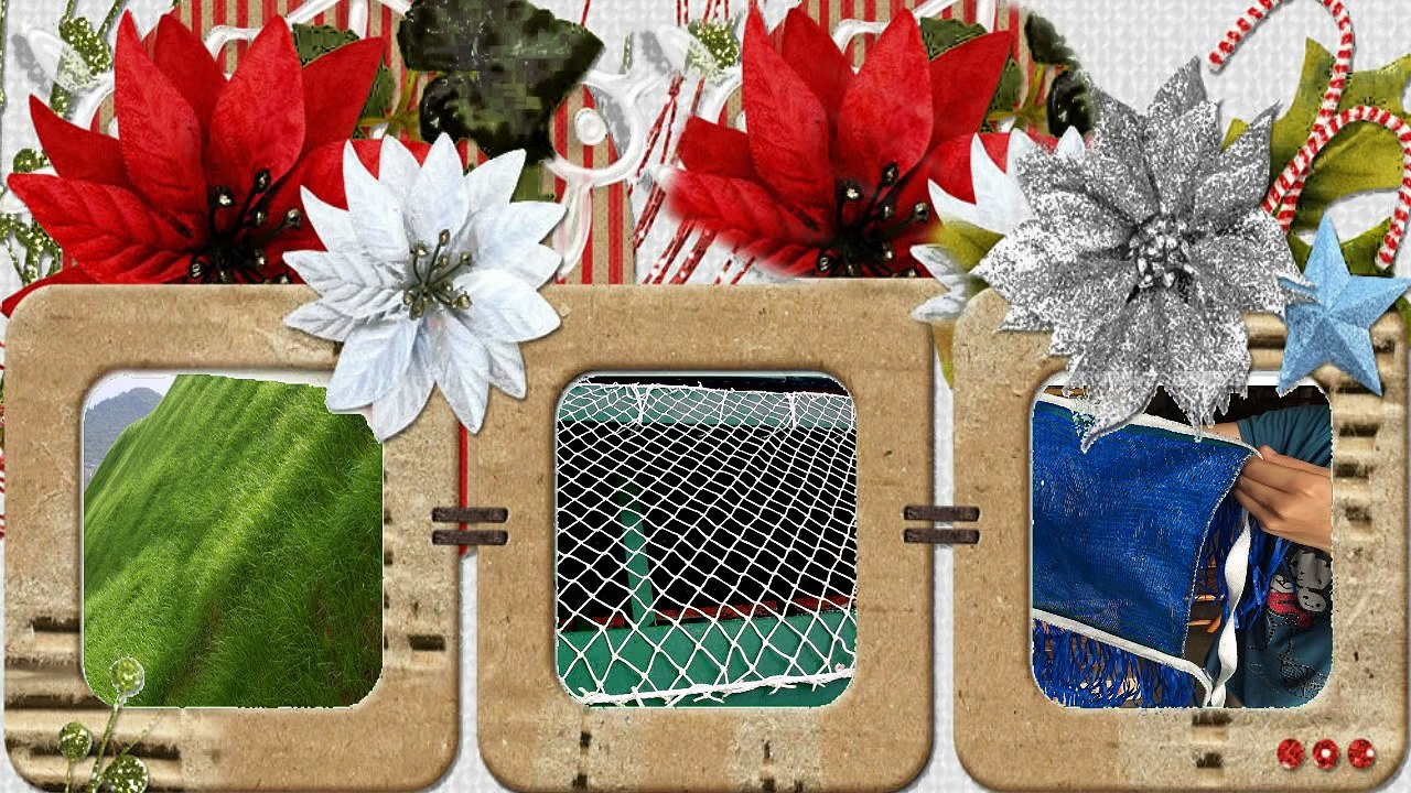 大鋅製網 洽詢電話:04-7240760   maille de cuivre, galvanisé spécification de maille de fer, le vent net, clôture de l'escalier