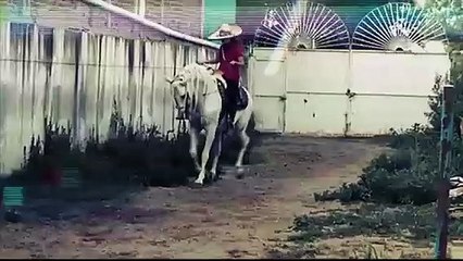 caballo-bailador-dragon-y-esthers