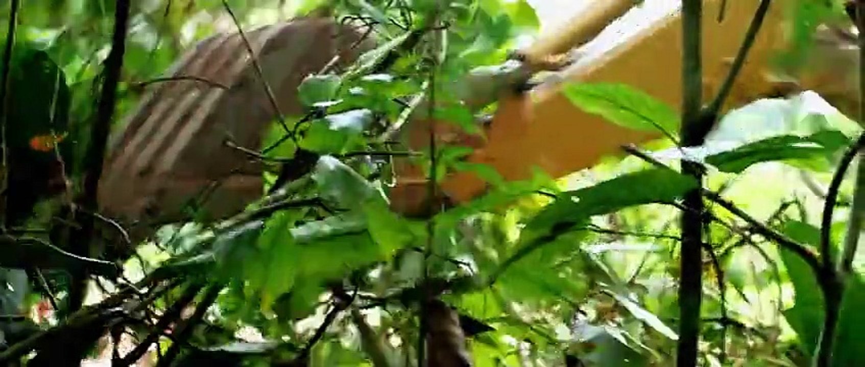 The Green Inferno - Official Trailer #2 (2014) Eli Roth Horror [HD]