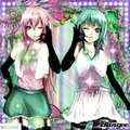Gumi and Luka - Happy Synthesizer