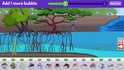 Plum Landing Make A Mangrove Cartoon Animation PBS Kids Game Play Walkthrough