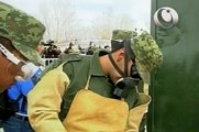 Destrucción de armas incautadas por el Ejército Mexicano