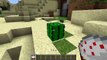 Minecraft   7 Cactus Facts You Might Not Know