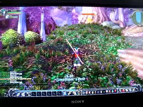 World of Warcraft Walkthrough part 1 Level 10 Night Elf Hunter