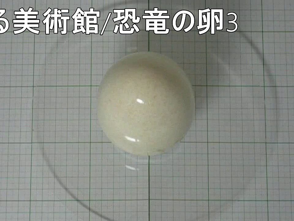 回る美術館/恐竜の卵3【Dinosaur Eggs】