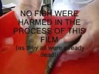 Life As The Vth Form 2003-04 (Without Cr