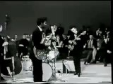 Roll Over Beethoven - Chuck Berry LIVE