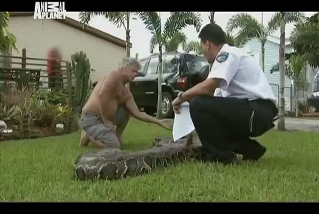 Animal Cops Miami - Third Chance