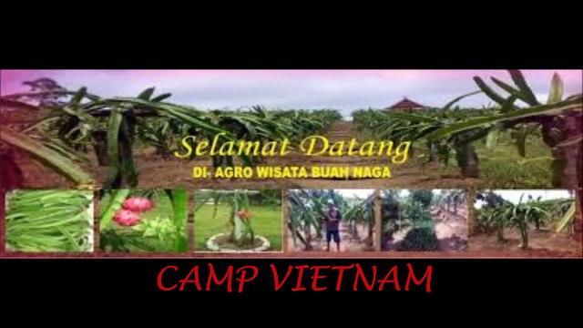 0813 7204 6788 (TELKOMSEL), perjalanan di batam,MUTIARA BATAM TOUR AND TRAVEL