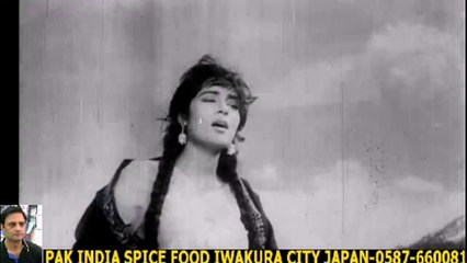 SUN SAJNA-- NOOR JHAN +HD スパイスハラルフード　岩倉市 ジャパンjapan halal food spice