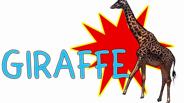 Animal Finger Family Song!! Animal Finger Family Nursery Rhymes, Finger Family Animals, Animals Son