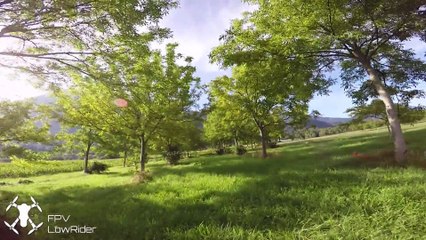 Vortex Training session