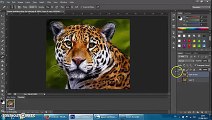 tutorial photoshop black and white درس فوتوشوب 2015