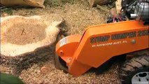 Stump Humper Stump Grinder