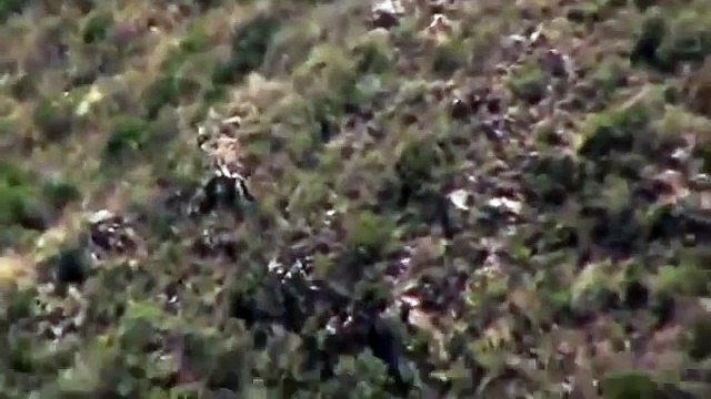 Ovnis reales en Argentina!! Real UFO in Argentina!!