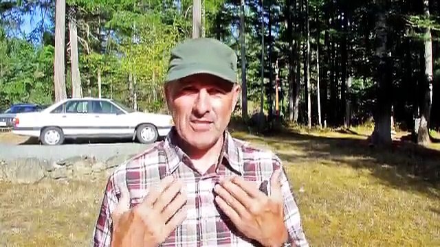 Winnipeg MB SEO Expert - Local Winnipeg MB SEO Company 866 326 7414