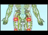 BACK PAIN LEG PAIN HERNIATED DISC SCIATICA PINCHED NERVE RELIEF DOCTOR NJ NEW JERSEY BERGEN COUN... (Low)(3)