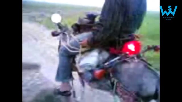 pathan funny clips - Pahsto funny video - Pakistani Funny Clips | Funny Punjabi Videos 201