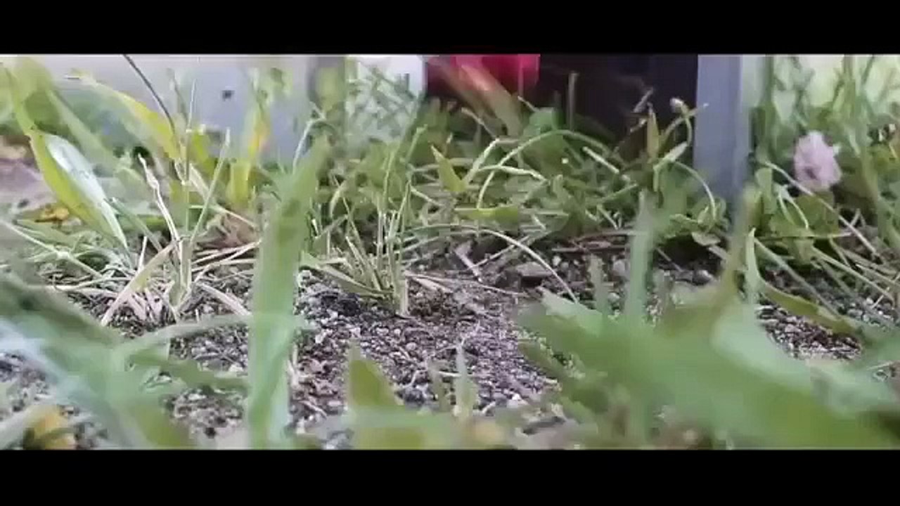 Hulk Vs Batman Superman