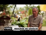 DOCUMENTAR: Resurse de Saracie
