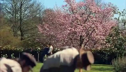 Jane Eyre - Trailer final en español