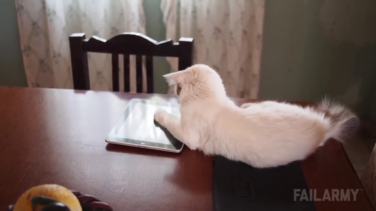 Selfies et téléphones portables : Compilation de FAIL hilarants!