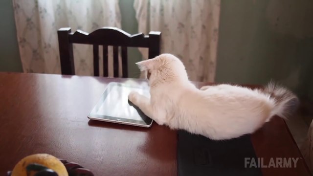 Selfies et téléphones portables : Compilation de FAIL hilarants!