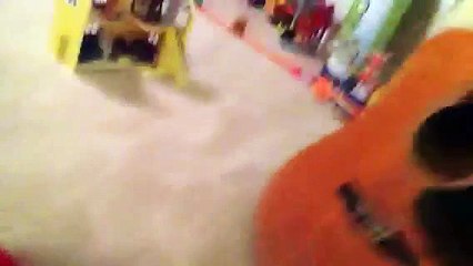 The king pig gets grounded