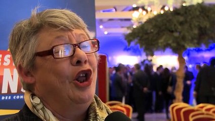 Pyramides Investissement Conseils 2015