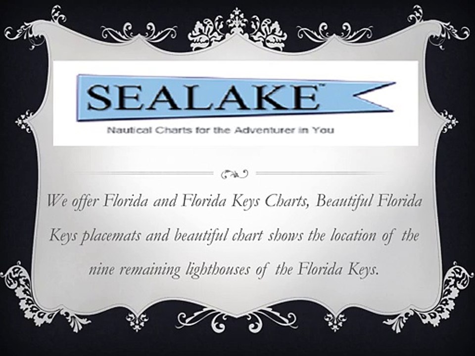 Sharks in the Gulf of Mexico