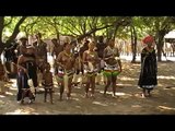 2010-Afrika-Zulus Tanz der Krieger.mpg
