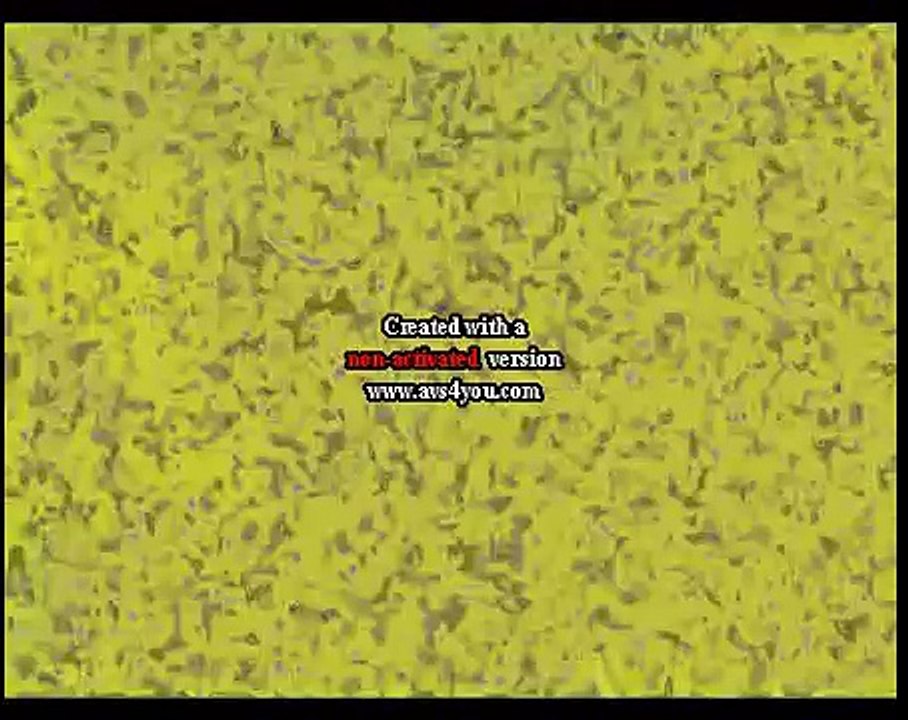 Spongebob Csupo