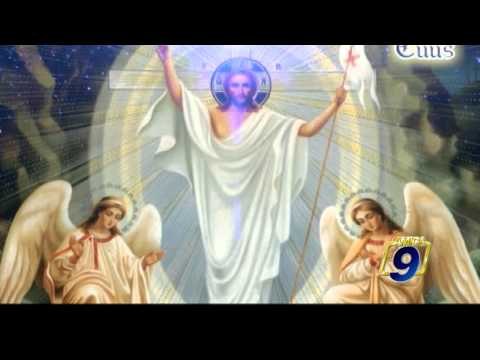 TOTUS TUUS | Papa Francesco - Laudato sì - Lettera Enciclica (14 agosto)