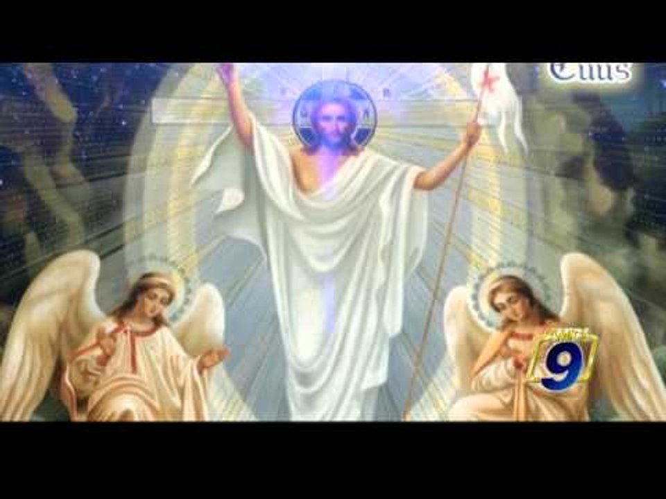 TOTUS TUUS | Papa Francesco - Laudato sì - Lettera Enciclica (13 agosto)