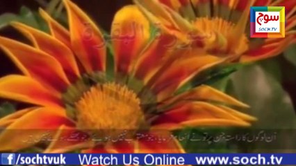 ‫Soch TV- کتابِ ہدایت - الفاتحہ 1‬