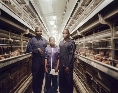 Les Grands Moyens (4/5) : au Bénin, la success story d'Agrisatch, le roi de la volaille