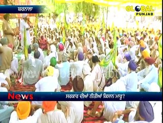 global punjab report on punjab farmers