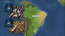 Mit offenen Karten -  Biokraftstoff: Der Fall Brasilien