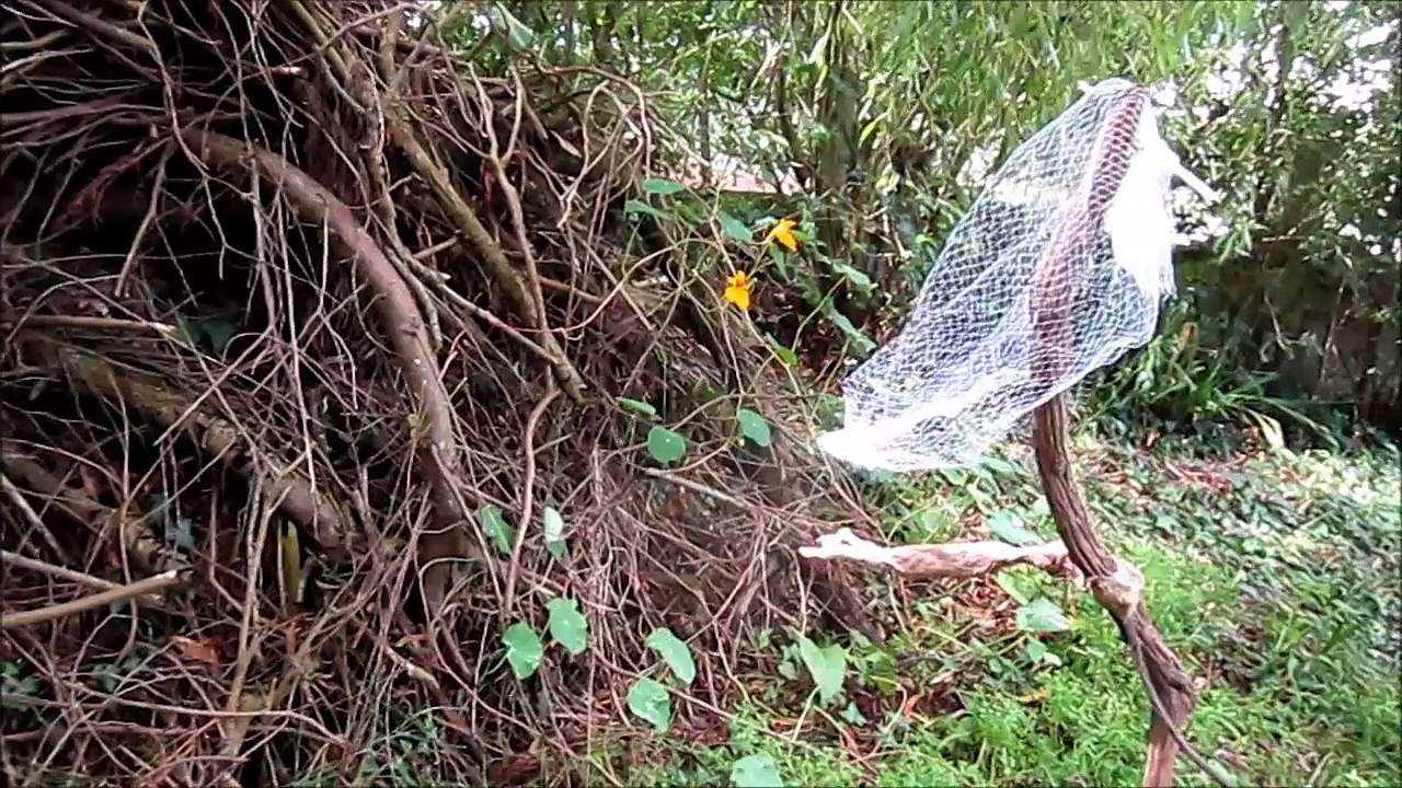 la mariée toute nue sans ses célibataires tout de même, épisode II